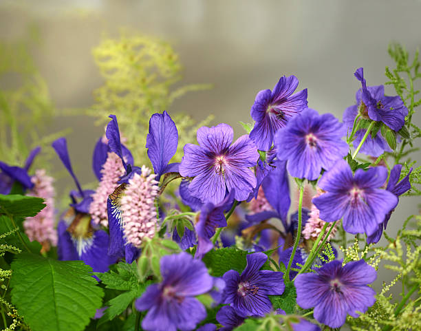 Kukkakimput ja kompositiot